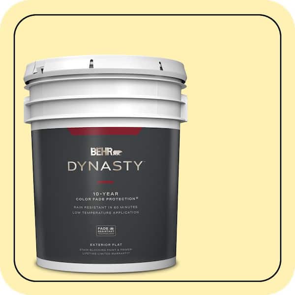 BEHR DYNASTY 5 gal. #P310-3 Firefly Flat Exterior Stain-Blocking Paint & Primer