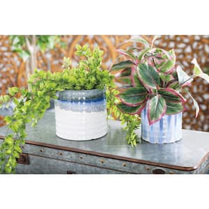 https://images.thdstatic.com/productImages/db80e1f4-c0ab-572b-8840-5823a75eee4e/svn/blue-and-white-litton-lane-plant-pots-18935-e4_300.jpg