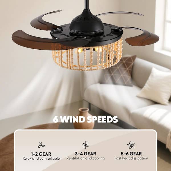 WDETR 20 in. Indoor Black Modern Farmhouse Ceiling Fan with Light, Drum Cage Ceiling Fan with Remote for Bedroom