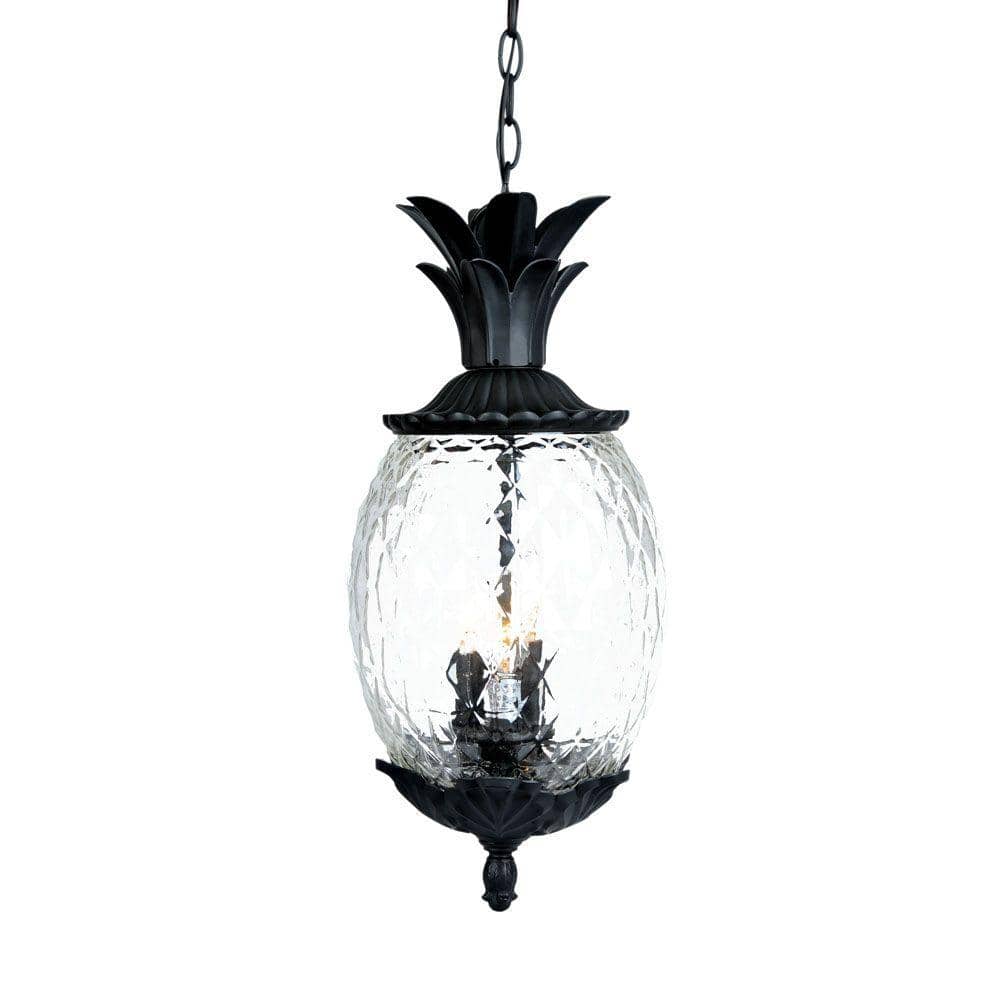シャンデラ ライト Acclaim Lighting Lanai Collection 3-Light Matte Black Outdoor