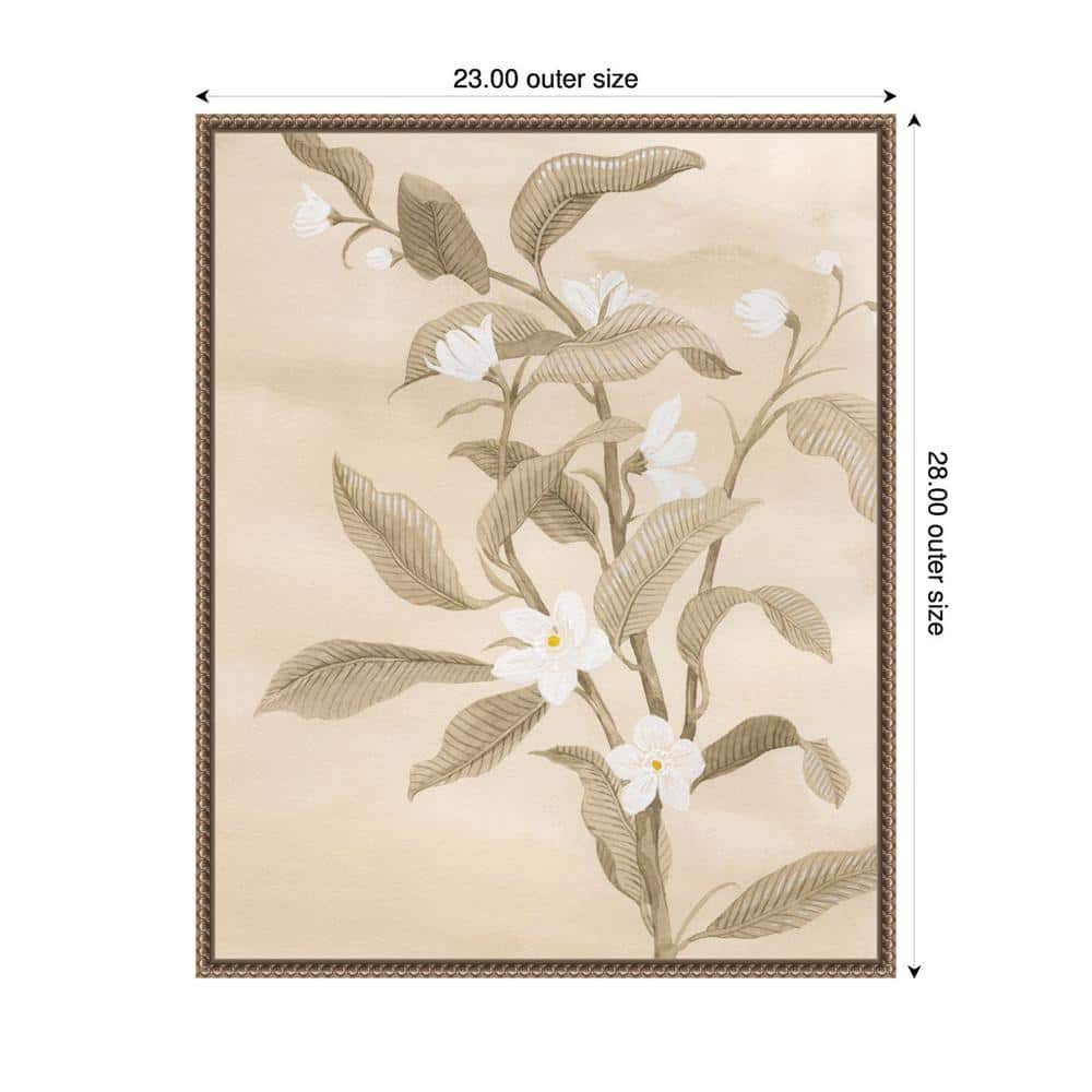 Sepia Orange Blossom Sketch II Canvas Wall Art with Bronze Frame