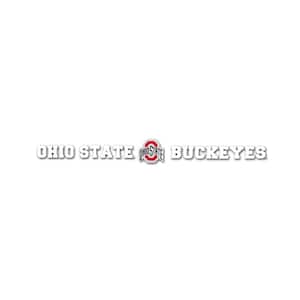 Ohio State Buckeyes Sun Stripe 3.25 in. x 34 in. Windshield Decal