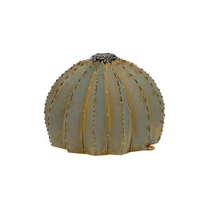 Small Golden Barrel Cactus Torch