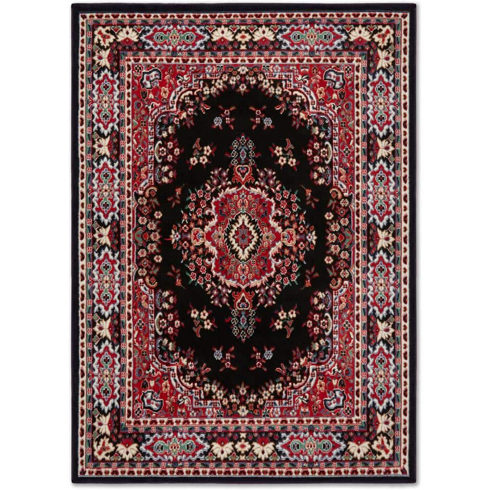 Black and Red Traditional Medallion Area Rug, 9'2" x 12'5"