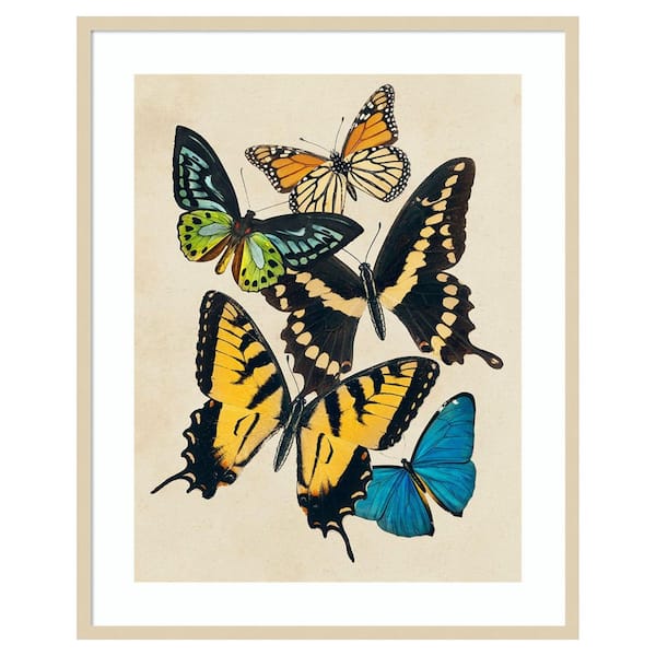 Amanti Art Collaged Butterflies II by Victoria Barnes 1-Piece Framed Giclee Animal Art Print 41 in x 33 in