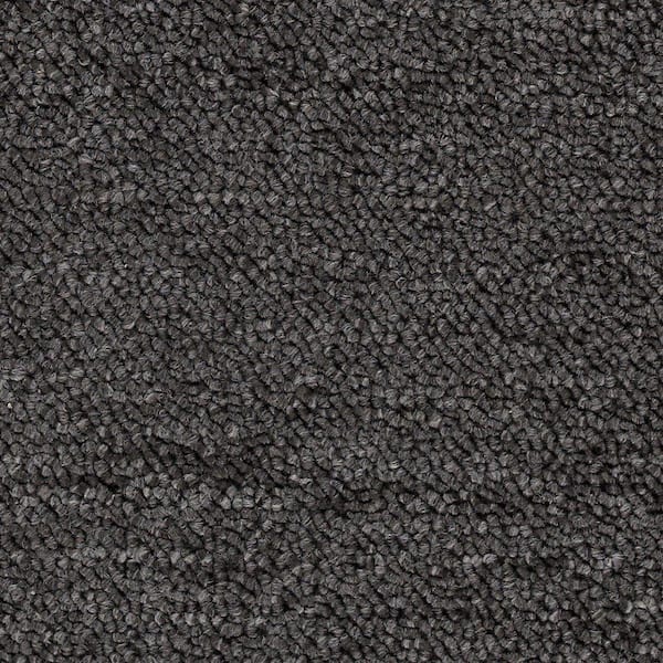 TrafficMaster Main Rail Base - Tricorn - Gray 12 oz. Polyester Loop Installed Carpet
