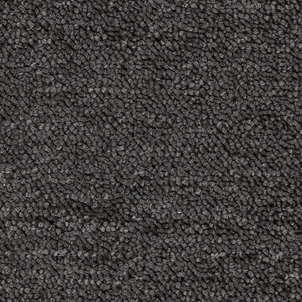8 in. x 8 in. Loop Carpet Sample - Main Rail 26 -Color Tricorn price history on PriceWatchPro