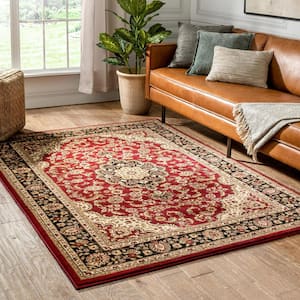 Barclay Medallion Kashan Red 9 ft. x 13 ft. Traditional Area Rug
