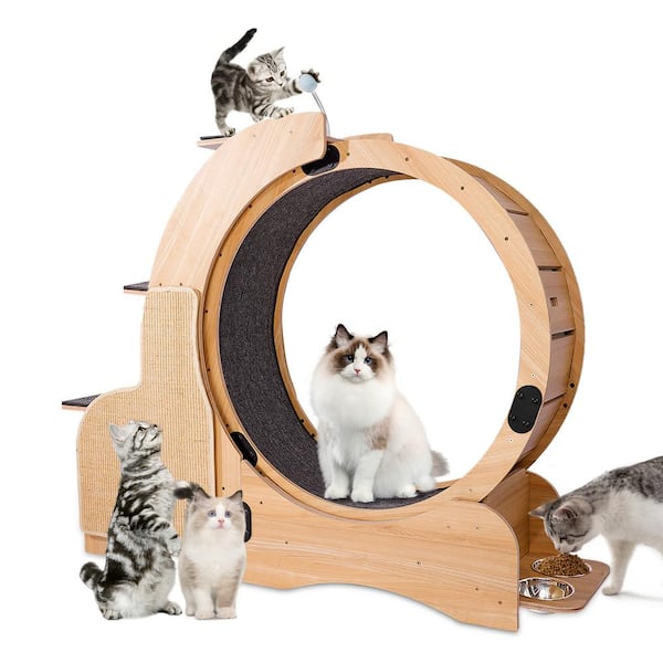 maocao hoom Natural Wood Cat Sports Running Wheel Cats Wheel Wood Climbing Frame Cat Litter Fitness Wheel Oversized Roller