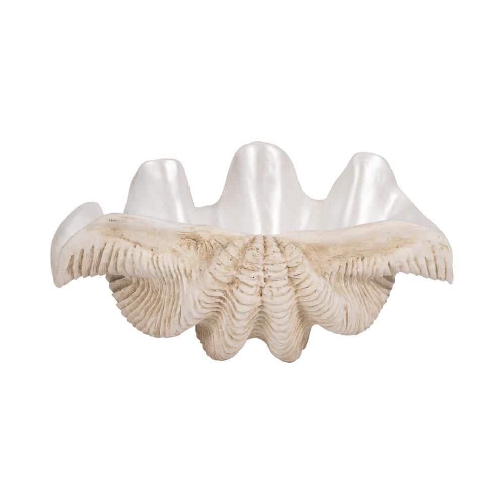 Ivory 16 in. x 11 in. Resin Coastal Pearlized Clam Shell Decorative Bowl