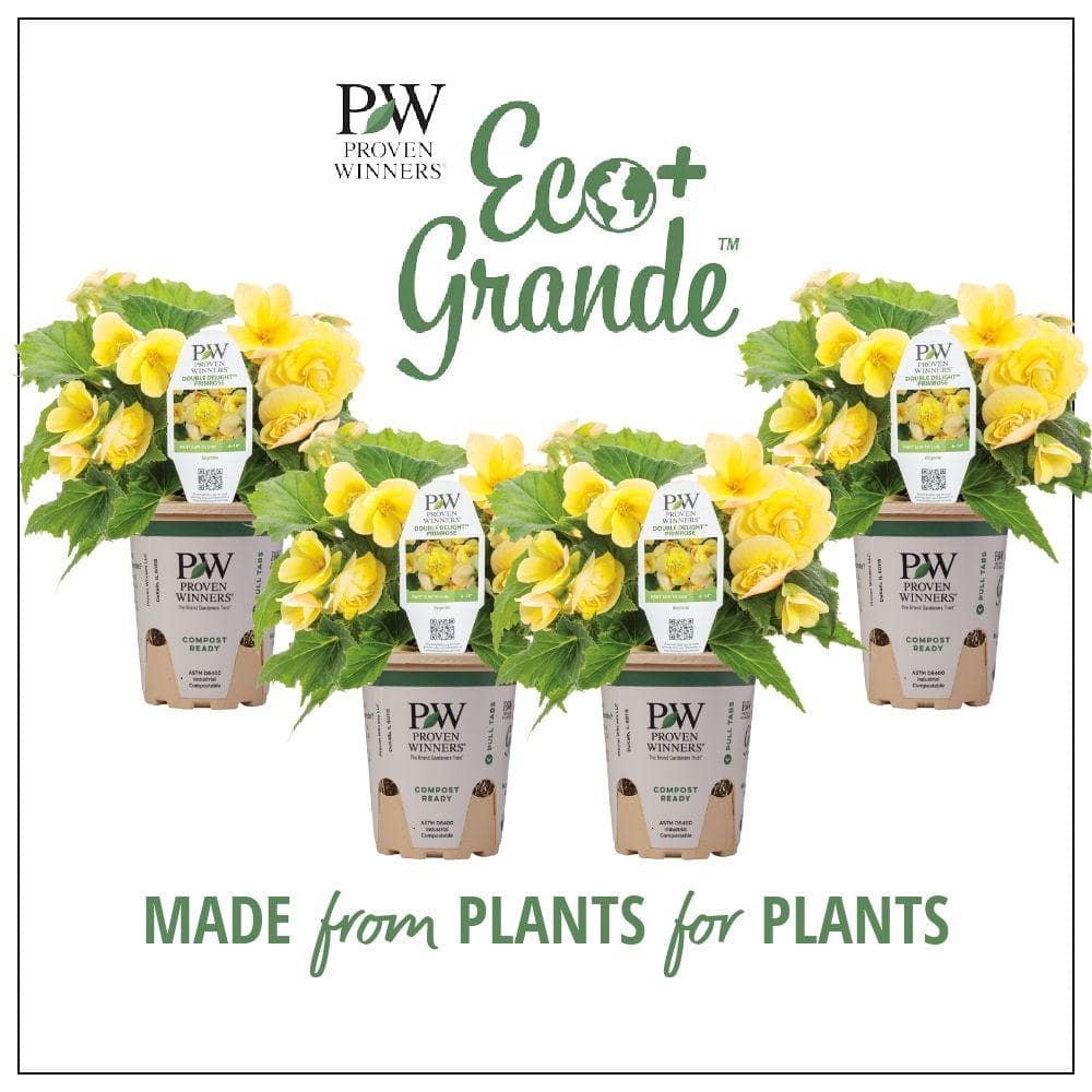 proven-winners-annual-flowers-