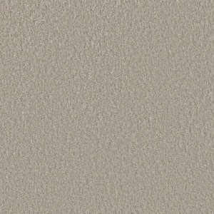 Blissful I - Gleeful Gray - 45 oz. SD Polyester Texture Installed Carpet