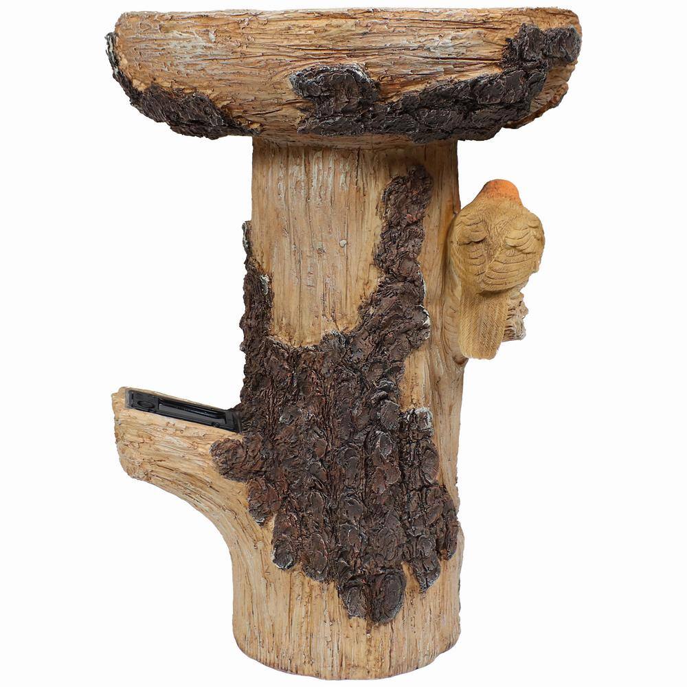 Rustic Brown Polyresin Tree Stump Bird Bath with Solar LED Address Plate