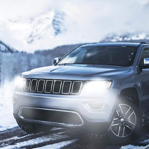 Philips CrystalVision Platinum 9006 White Headlight/Fog Light (2