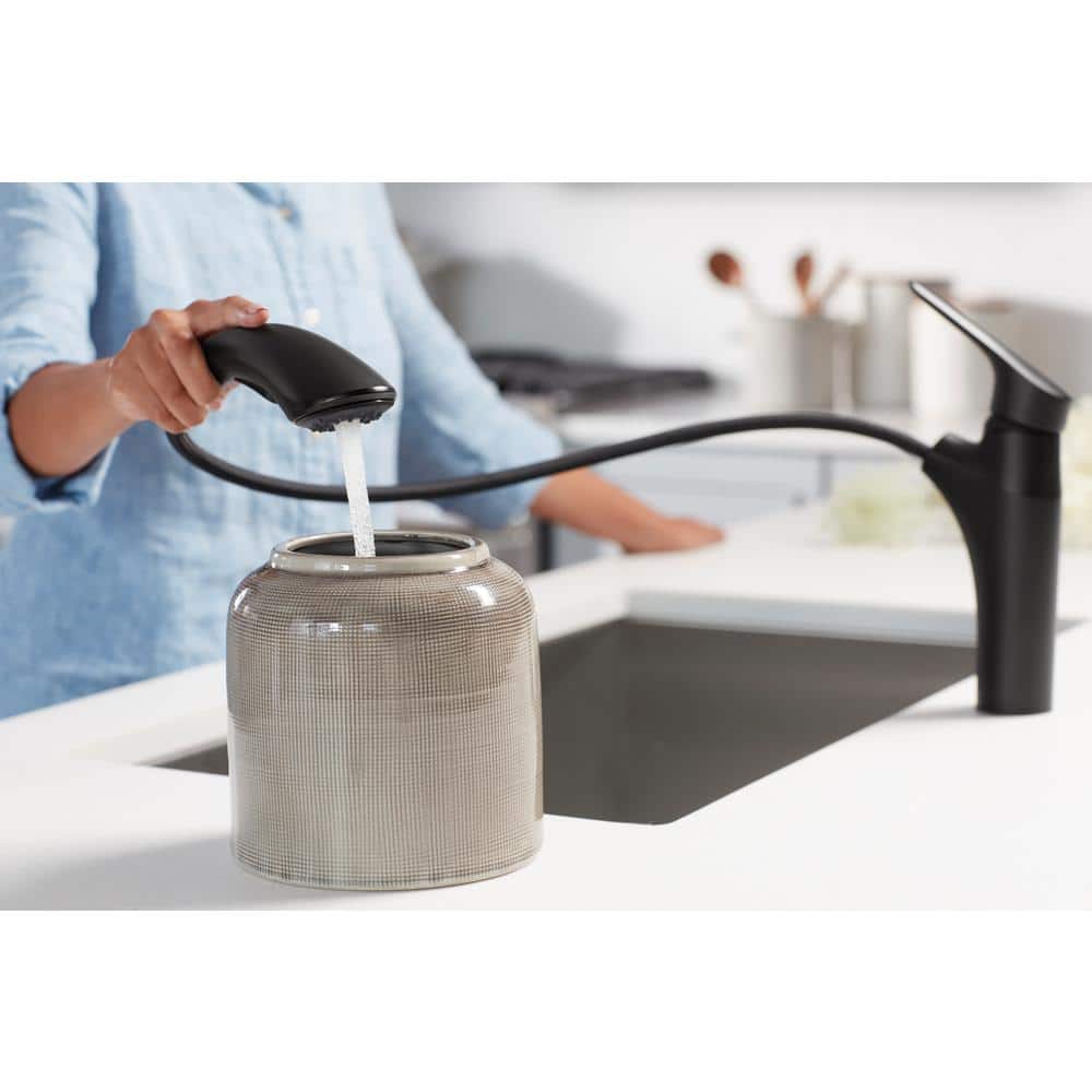 Matte Black Single-Handle Pull-Out Kitchen Faucet