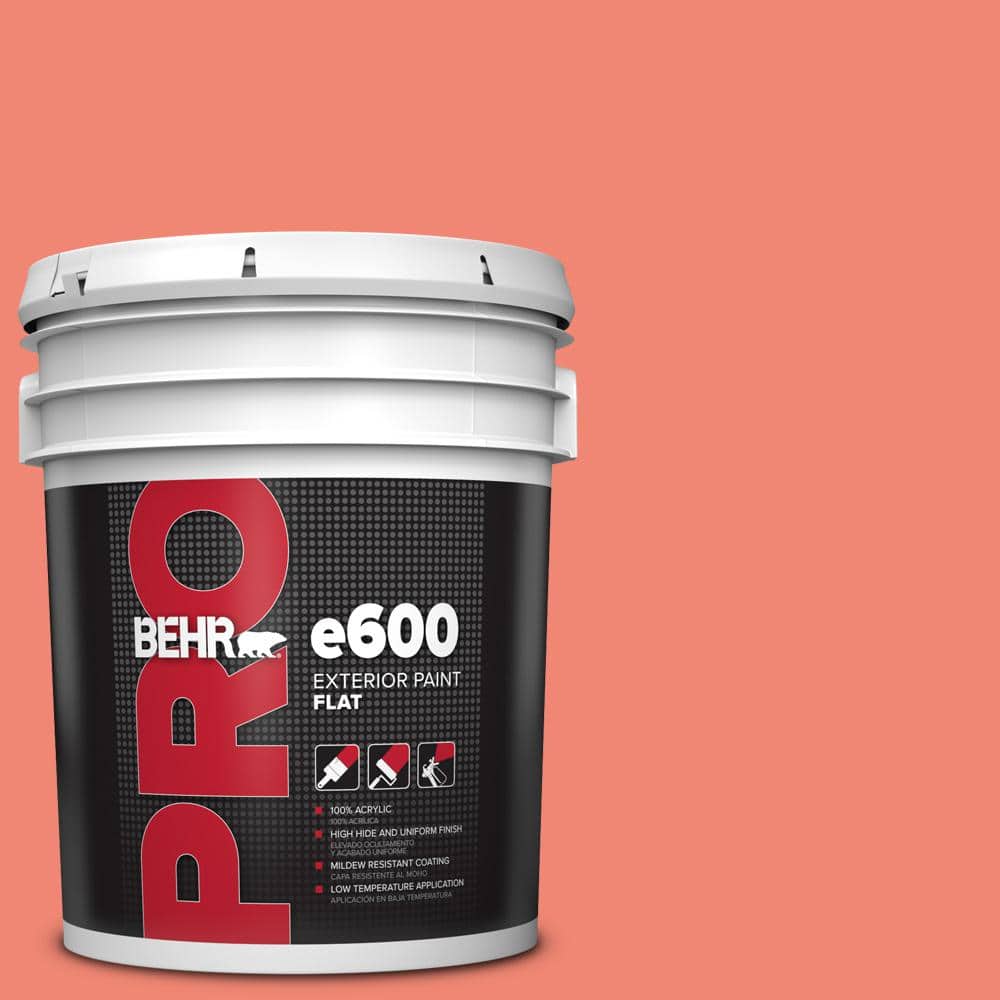 5 gal. #T16-07 Coralette Flat Exterior Paint price history on PriceWatchPro