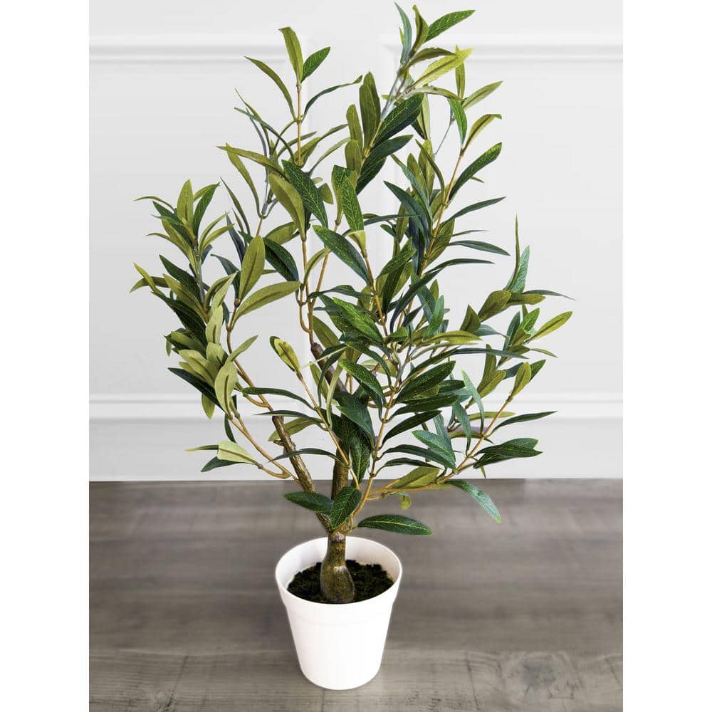 Silk Olive Tree in White Plastic Pot, 26 Inches