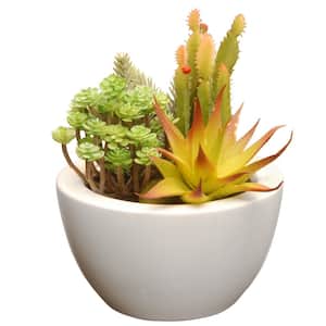 7.5 in. Artificial Succulent in Ceramic Pot