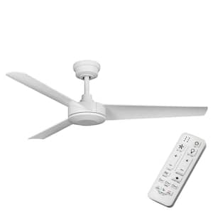 Titan 52 in. Indoor/Outdoor Covered Matte White Ceiling Fan with Remote and DC Motor