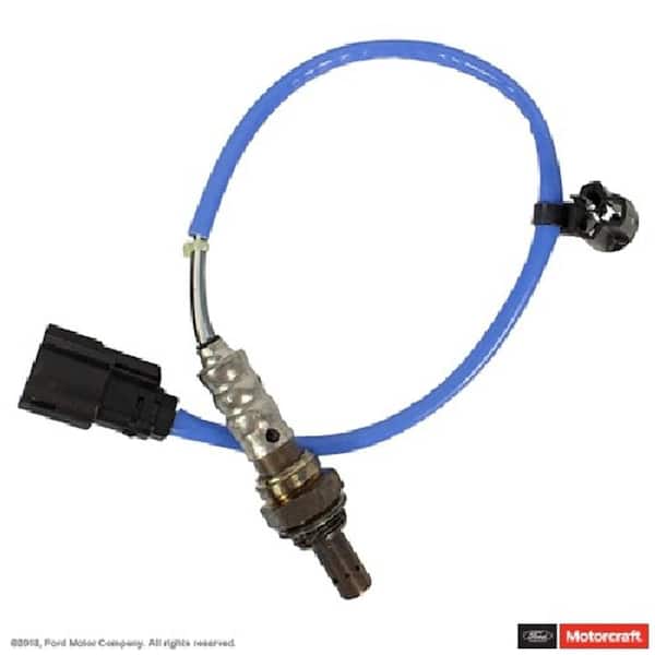 Oxygen Sensor