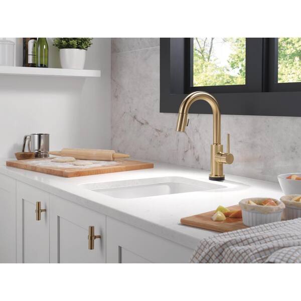 Delta Trinsic Gold Touch2O with Touchless Technology Single Handle