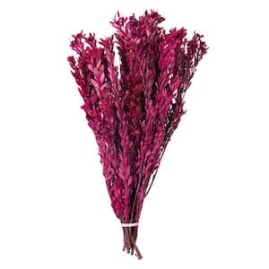 18-20 in. Merlot Preserved Pubescens Stem, 5 oz. Bundle