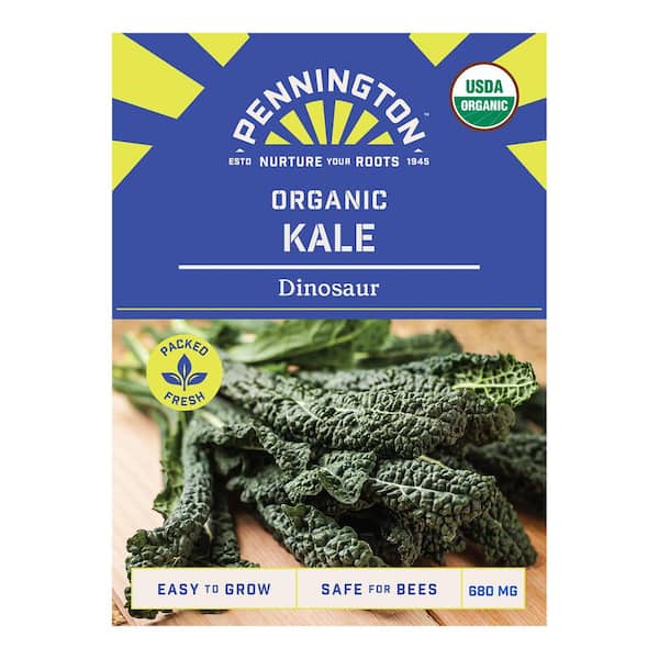Organic Dinosaur (Lacinato) Kale Vegetable Seeds