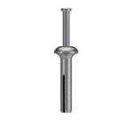 Simpson Strong-Tie Zinc Nailon 1/4 in. x 1-1/4 in. Pin Drive Anchor ...