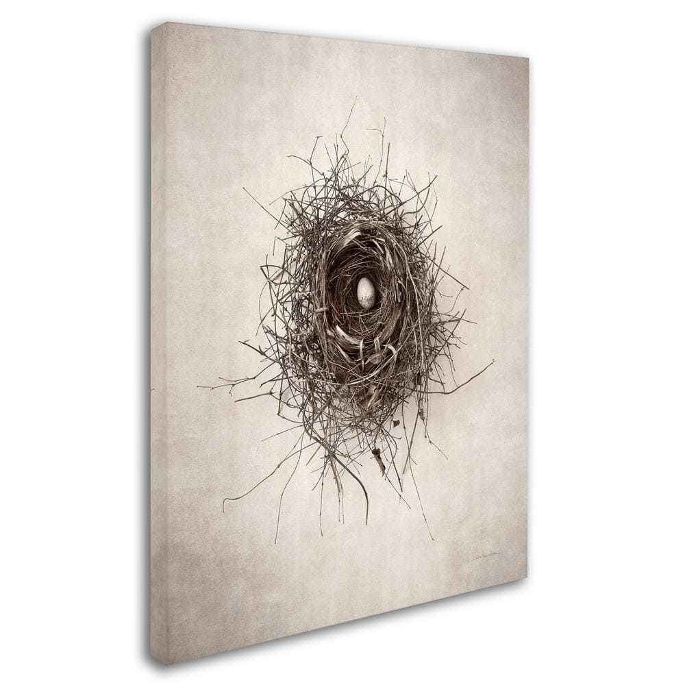 Large Framed Beige and Brown Bird Nest Canvas Art