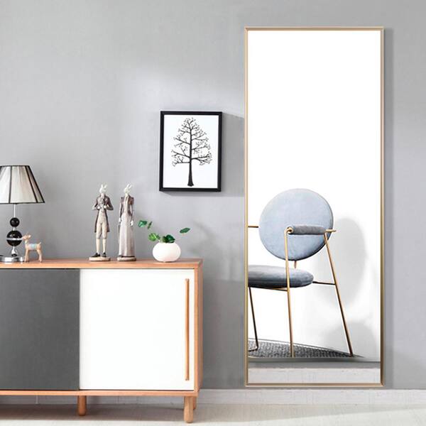 Dovelina Large Rectangle Gold Hooks Modern Mirror (59 in. H x 20 in. W)