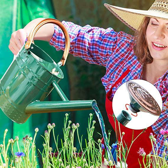 Galvanized outlet Watering Can Plant, Flower & Garden Watering Can 1L