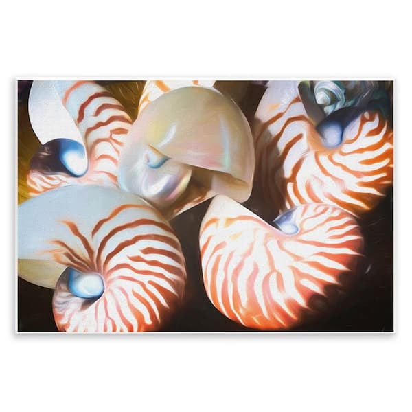 Stupell Industries Nautilus Shells Cluster by Graffi*tee Studios Unframed Coastal Graphic Art Print 13 in. x 19 in.
