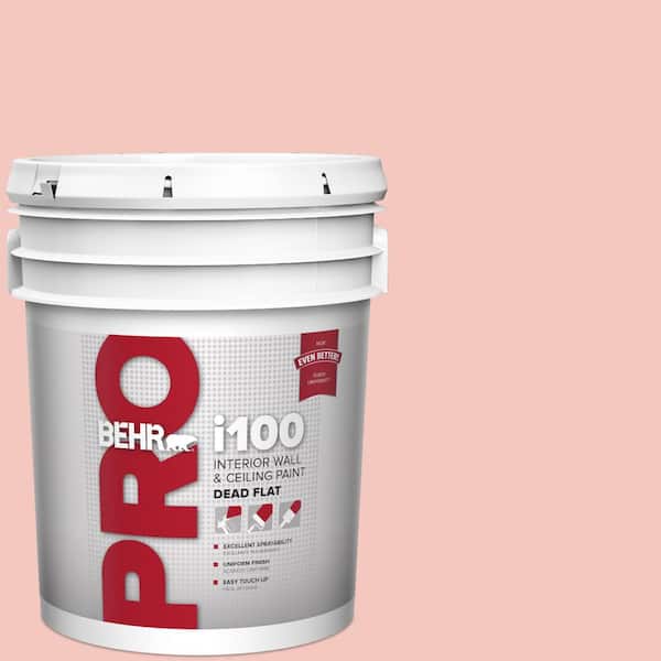 BEHR PRO 5 gal. #M170-2 Prairie Rose Dead Flat Interior Paint