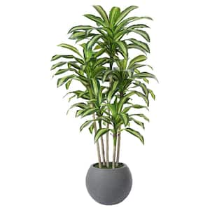 7ft.uvResistant Artificial Dracaena Tree W/Grey Tall Planter,Fake Tropical Dracaena Plants for Indoor Outdoor Home Decor