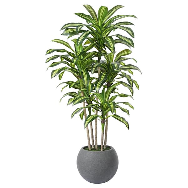 DR.Planzen 7ft.uvResistant Artificial Dracaena Tree W/Grey Tall Planter,Fake Tropical Dracaena Plants for Indoor Outdoor Home Decor