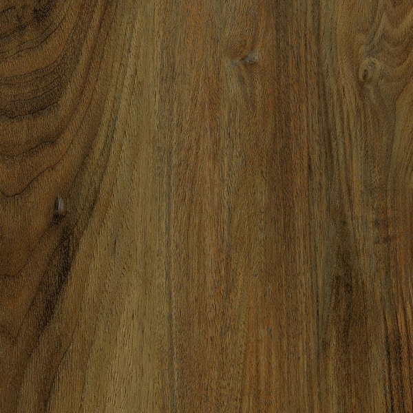 DuraDecor Take Home Sample- Classy Chic Brown to Earth 12-MIL x 7 in. x 8 in. Glue Down Waterproof Luxury Vinyl Plank