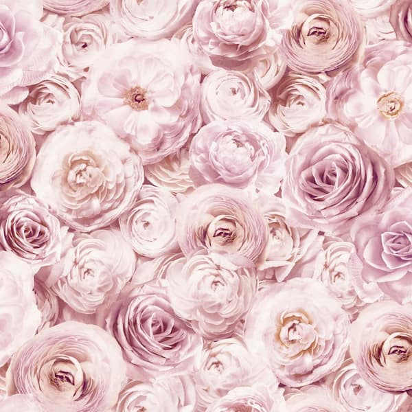 pink roses background pattern