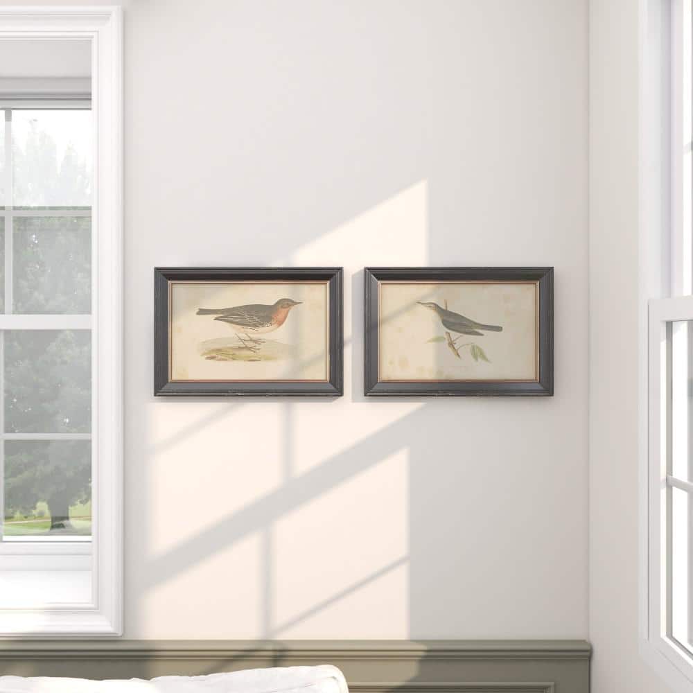 Black Framed Bird Print Wall Art Set, 20" x 14"