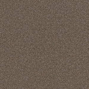 Columbus I - Rich Earth - Brown 56.2 oz. SD Polyester Texture Installed Carpet