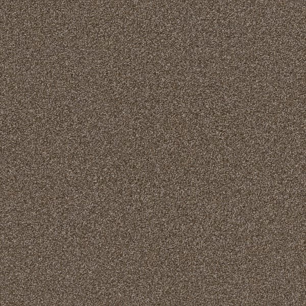 Home Decorators Collection Columbus I - Rich Earth - Brown 56.2 oz. SD Polyester Texture Installed Carpet