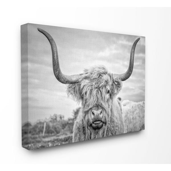 Stupell Industries 16 in. x 20 in. "Black and White Highland Cow Photograph" by Joe Reynolds Printed Canvas Wall Art