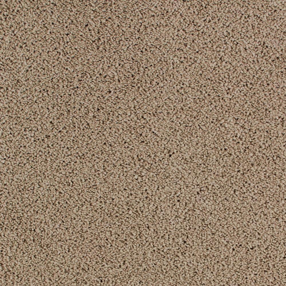 8 in. x 8 in. Texture Carpet Sample - Cleoford -Color Tender Moment price history on PriceWatchPro