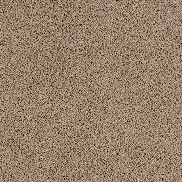 Lifeproof with Petproof Technology 8 in. x 8 in. Texture Carpet Sample - Cleoford -Color Tender Moment