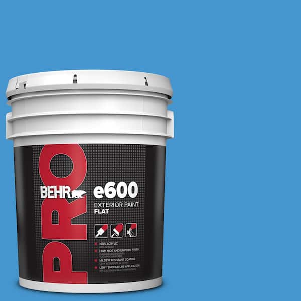 BEHR PRO 5 gal. #P510-5 Perfect Sky Flat Exterior Paint