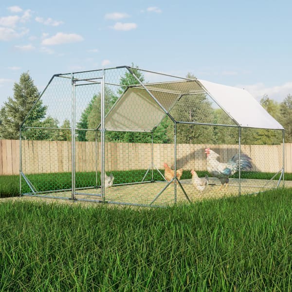 FIROMO 10 ft. x 13 ft, Metal Chicken Coop, Walk-In with Waterproof Cover, Lockable, Flat Roof, White