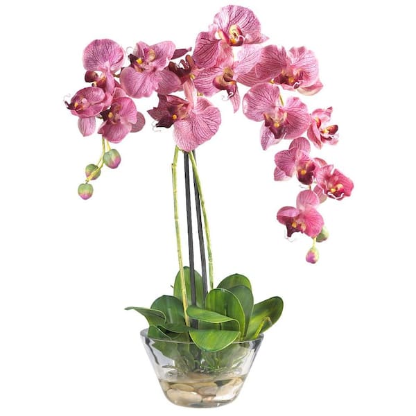 Nearly Natural Double Phalaenopsis with Glass Vase Silk Flower Arrangement