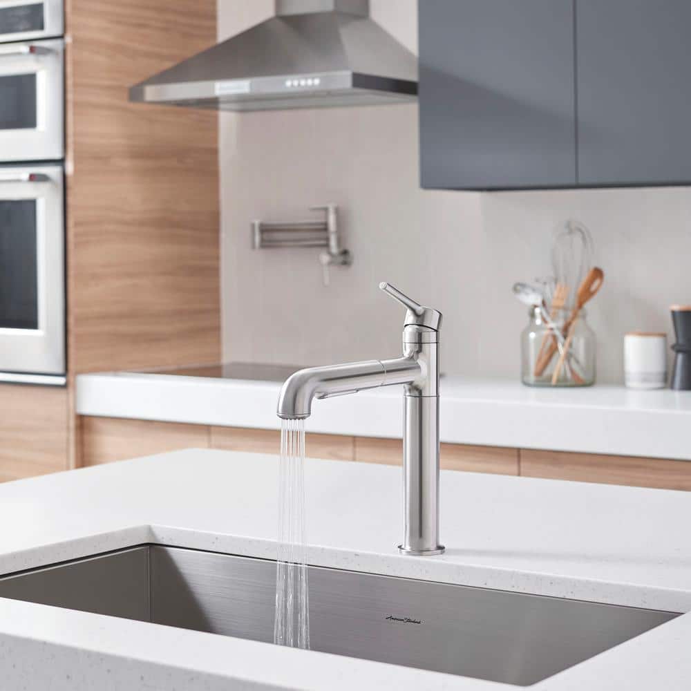Stainless Steel Pull-Out Spray Kitchen Faucet