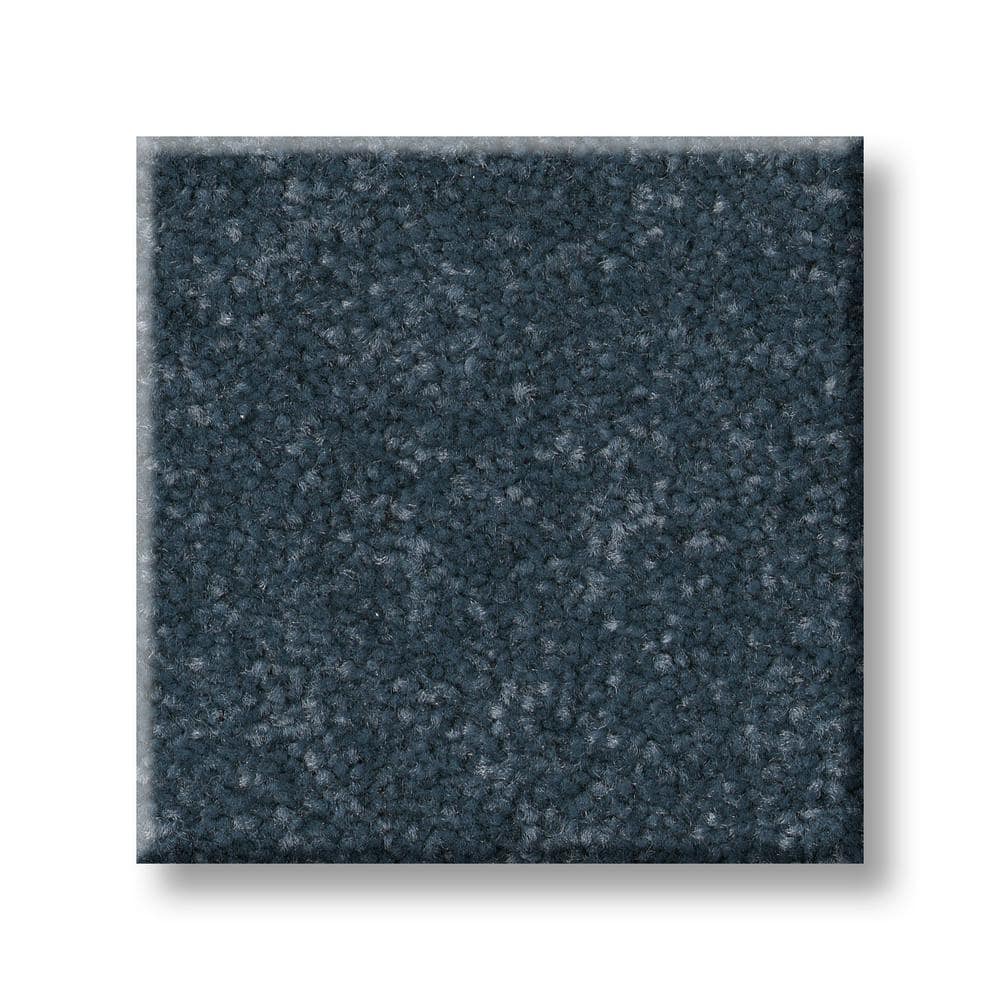 8 in. x 8 in. Texture Carpet Sample - Blakely III -Color Neptune price history on PriceWatchPro
