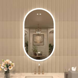 24 in. W. x 40 in. H Oval Frameless LED Light Anti-Fog Wall Bathroom Vanity Mirror in Polished Crystal