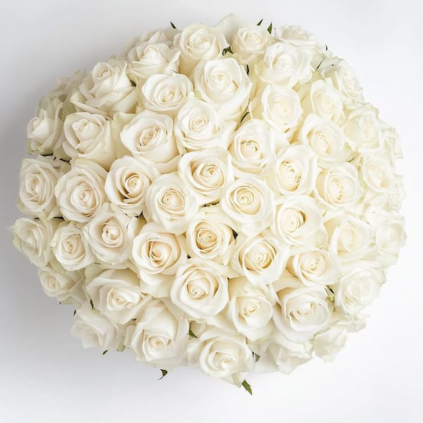 Globalrose Fresh White Roses Valentine's Day Flowers (100 Stems)